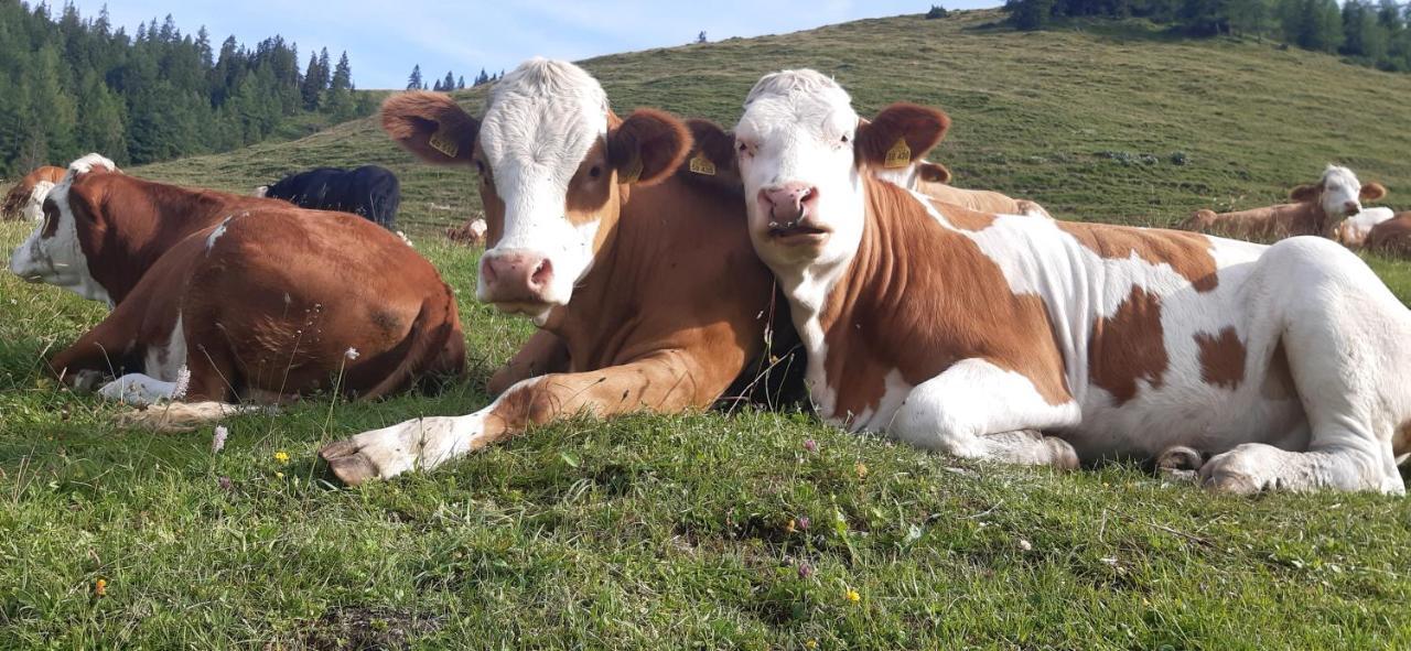 Fewo Niederndorferberg Bagian luar foto