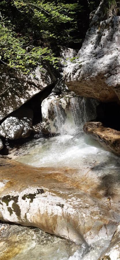 Fewo Niederndorferberg Bagian luar foto