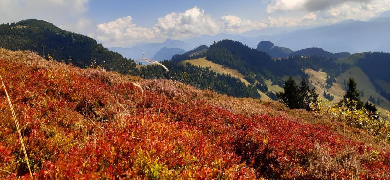 Fewo Niederndorferberg Bagian luar foto